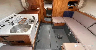 Mallard Ecume de Mer