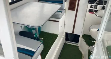 Bayliner Trophy Cuddy 2160