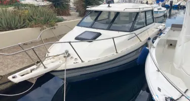 Bayliner Trophy Cuddy 2160