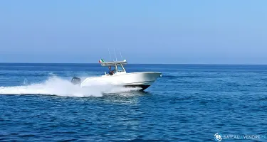 3B Craft  262 CC