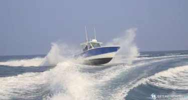 3B Craft  330 CC