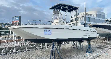 Bayliner Element CC7