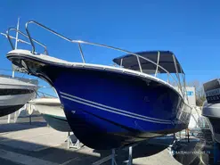 White Shark  246