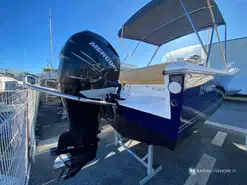 White Shark  246