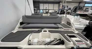 Bayliner Element M19
