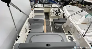 Bayliner Element M19