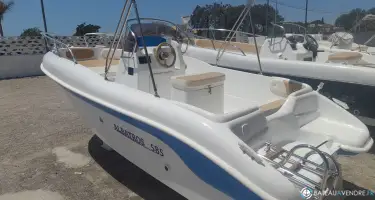Albatros  585