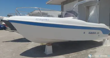 Albatros  585