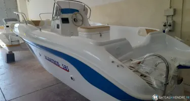 Albatros  585