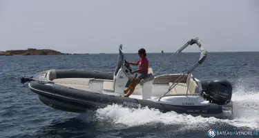 Salpa Soleil 18