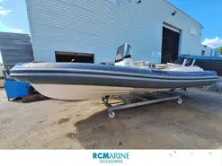 Salpa  Soleil 23