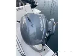 Sessa Marine Dorado 22