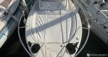White Shark  268