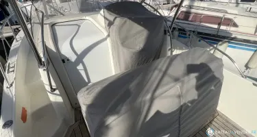 White Shark  268