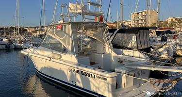 Luhrs  28 Open