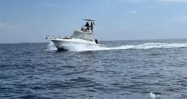 Luhrs  28 Open