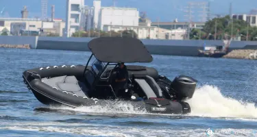 3D Tender Dream 655