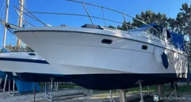 Arcoa  975
