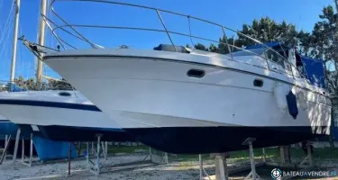 Arcoa  975