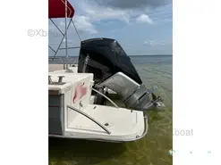 3C Composite Beacher V8 Open