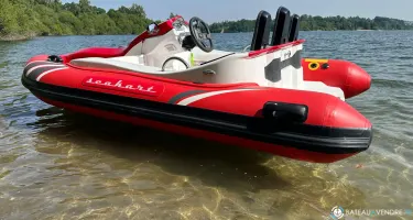 Seakart  335