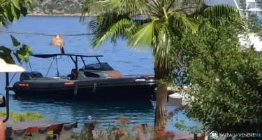 Salpa Soleil 33 T-Top