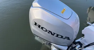 Ranieri Shadow 19
