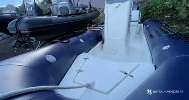 Zodiac Pro Classic 500