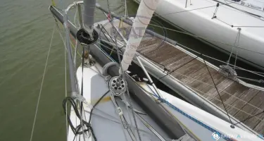 Pogo Structures Pogo 40