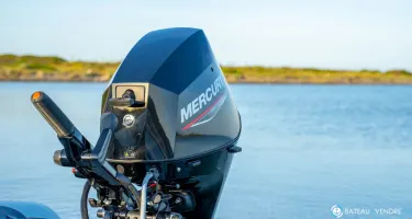 Fourstroke 25 CV EFI
