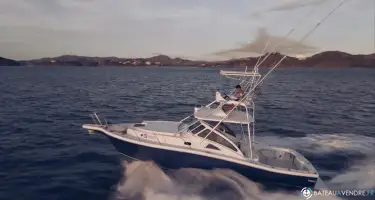 Apex Quepos 350
