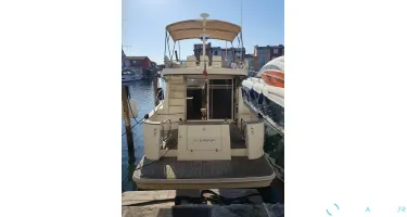ACM Excellence 38