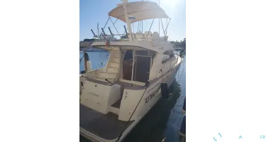 ACM Excellence 38