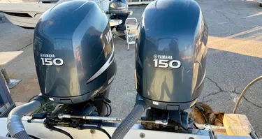 Sessa Marine Key Largo 26