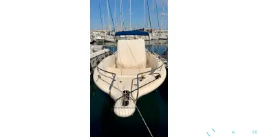 White Shark  265