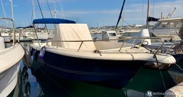 White Shark  265