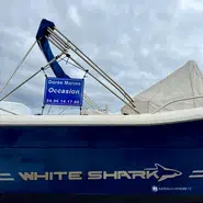 Kelt White Shark 265
