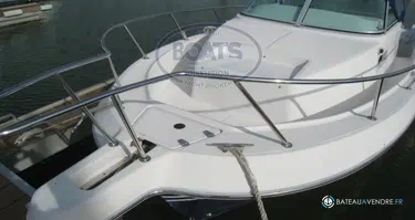 Kelt White Shark 237