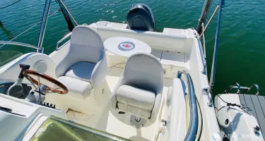 Seabird  655