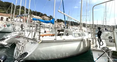 Dufour  31