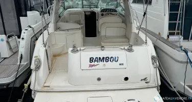 Sea Ray  290 Sundancer