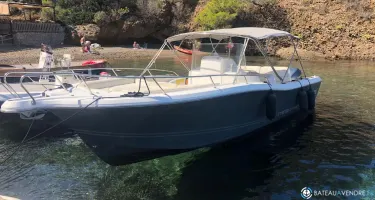 White Shark  285
