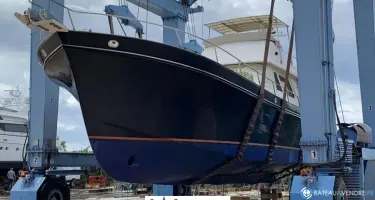 Hampton ALASKA 55