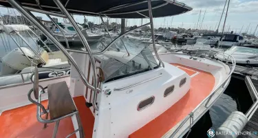 Orka  800