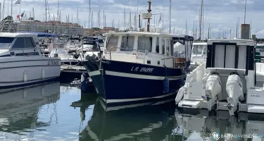 Rhea  850