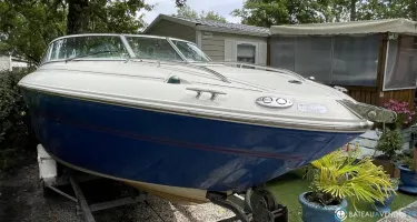 Sea Ray  210 Overnighter