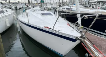 Gibert Marine Gib Sea 77