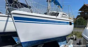 Wrighton Biloup 77 Nv