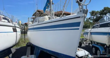 Wrighton Biloup 77 Nv