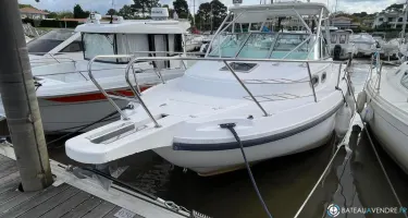 Boston Whaler  295 Conquest